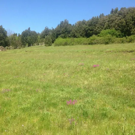 Le Pianelle 别墅 瓦雷塞利古雷